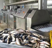 液氮速凍機—應用于水產(chǎn)市場